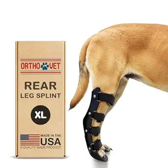 Standard Rear Splint for Dogs with Injuries, Arthritis, Fractures or Sprains, Durable & Lightweight Rear Splints for Rehability Treatment & Post-Surgery Protection for Pets - XL