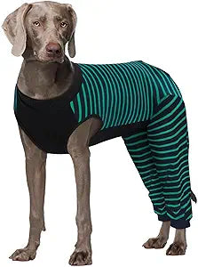 Kuoser Dog Recovery Suit, Anti Licking Dogs Rear Leg Sleeve, Abdominal Dog Surgical Suit with Pants Cover Protect Wounds, Dogs Elbow Protector Soft Pet Surgery Onesie Cone Alternative, Green 3XL