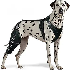 Dog Knee Brace for ACL, CCL, Arthritis, Joint Pain – Hinged Leg Support for Torn Ligament, Luxating Patella, Rear & Hind Legs – Orthopedic Compression & Mobility Recovery Wrap (Right Leg Large)