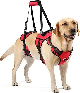 NOYAL Dog Lift Harness for Senior & Injured Pets – Full-Body Support Sling with Breathable Mesh, Front/Rear Leg Assist for Arthritis, Hip Dysplasia & Post-Surgery Recovery (Medium-Large Breeds)