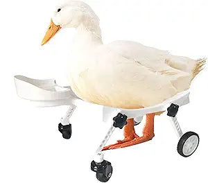Pet Ducks Wheelchair - Adjustable Mobility Aid for Small Animals,Adjustable Height for Comfortable Use Mobility Aid Cart with All-Terrain Wheels.