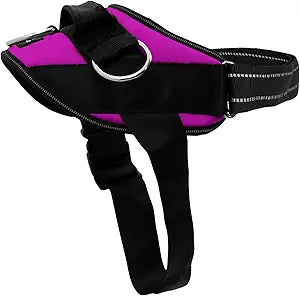ShawnCo Essential Dog Harness, No-Pull Pet Vest with 3 Leash Clips, No Choke, Reflective, Adjustable and Padded, for Easy Walking and Training for Small, Medium and Large Dogs (Orchid, L)