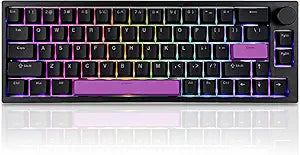 BOYI 66Pro Rapid Trigger Magnetic Switch Mechanical Keyboard,65% Hyper-Fast Actuation Point Adjustable Dedicated 8K Hz Polling Rate HotSwap RGB Wired Gaming Keyboard with Knob (Black)