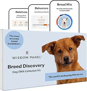Wisdom Panel Breed Discovery Dog DNA Kit: Most Accurate Dog Breed Identification, Test for 365+ Breeds, MDR1 Health Test, Ancestry, Relatives