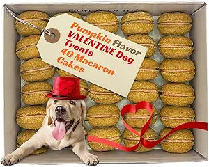 Bonne et Filou Valentine Dog Treats, Dog Treats Bulk, 40 Count Pumpkin Cakes, Birthday Gift for Medium to Large Breed – Gourmet Macaron Cakes – Healthy & Delicious Human Grade Snacks
