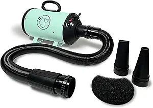Flying Pig High Velocity Dog Pet Grooming Dryer w/Heater (Flying One, Mint w/Grey Logo)