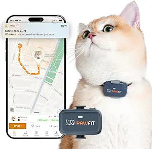 Pawfit Lite for Cats 4g GPS Tracker | Ultra-Small (<18g) Design | Real-Time Tracking | Activity Monitoring | Location History | Unlimited Range | Safety Collar Included | Charcoal Grey