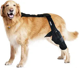 Dog Knee Brace for Hind & Rear Legs – Canine Leg Support for ACL, CCL, and Cruciate Ligament Injuries, Arthritis, and Post-Surgery Recovery – Adjustable, Durable, Black, Size L