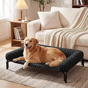 Elevated Dog Bed with Removable Bolster Cushion Mat, Raised Pet Cot for Large Sized Dogs with Breathable & Washable Mesh, Indoor & Outdoor Pet Hammock with Skid-Resistant Feet.