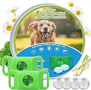 Natural Dog Tag for Flea & Tick Prevention – Waterproof Collar Pendant 2Pack with 4 Extra Refills, Safe for All Breeds, Collar Not Included,Green