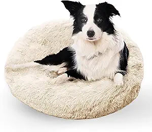 Active Pets Medium Dog Bed, Calming Orthopedic Pet Bedding for Anxiety Relief, Joint Support & Comfort, Washable Dog Furniture, Med 45lbs, Beige