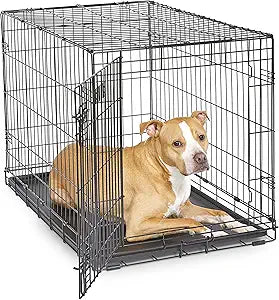 MidWest Homes for Pets 36-Inch iCrate for Medium-Large Breeds, 41-70 lbs, Single Door Folding Dog Crate with Divider Panel, Leak-Proof Tray & Secure Latches, Portable, Durable & Easy to Assemble
