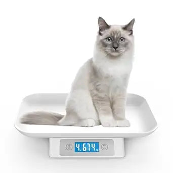 Digital Pet Scale for Small Adult Cats and Animals, Measuring Range 0.1oz-33lbs, Accuracy 1g/0.035oz, Units g/kg/lb/oz/tl/ml, Suitable for Kittens, Puppies, Snakes,and Small Dog (Grey)