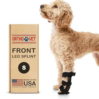 Standard Front Leg Brace for Dogs with Injuries, Arthritis, or Licking Prevention, Durable & Lightweight Post-Surgery Protection for Pets - S