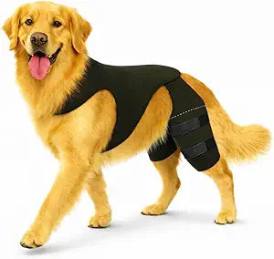 Dog Knee Brace for Rear/Hind Legs (ACL/CCL) â€“ Dual-Leg Support with 4 Metal Stabilizers & Non-Slip Harness | Stability, Mobility & Pain Relief for Arthritis, Hip Dysplasia & Luxating Patella | Sâ€“XL
