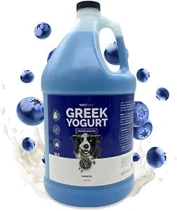 Bark2Basics Blueberry Greek Yogurt Shampoo, 1 Gallon - Protein Pet Shampoo, All Natural Ingredients, Restores Moisture, 16 to 1 Dilution, Gentle Clean