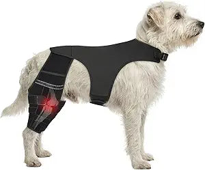 Adjustable Dog Knee Brace for ACL Tear and Arthritis Recovery - Dual Hind Legs Support with Harness Connection - Orthopedic Leg Wrap for Joint Stability and Pain Relief in Small to Large Dogs (M)