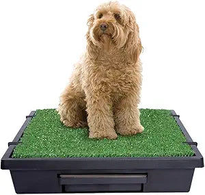 PetSafe Pet Loo Portable Dog Potty - Pet Toilet Alternative for Puppy Pads - Medium - Perfect for House Training - Easy-to-Clean Grass Mat