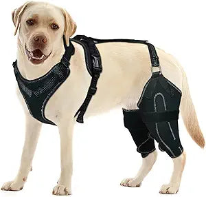 Dog Knee Brace for Torn ACL/CCL Hind Leg,Adjustable Support with Sufficient Wrapping and Support & Luxating Patella,Non-Slip Joint Brace,Pain Relief&Better Recovery-Both Leg/L