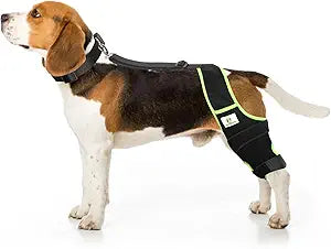 Dog Knee Brace for Hind Legs with Extra Collar & Strap - Relieves Joint Pain & Discomfort, Enhances Mobility | Supports Recovery from Osteoarthritis, Torn ACL/CCL, Luxating Patella | Adjustable (S)