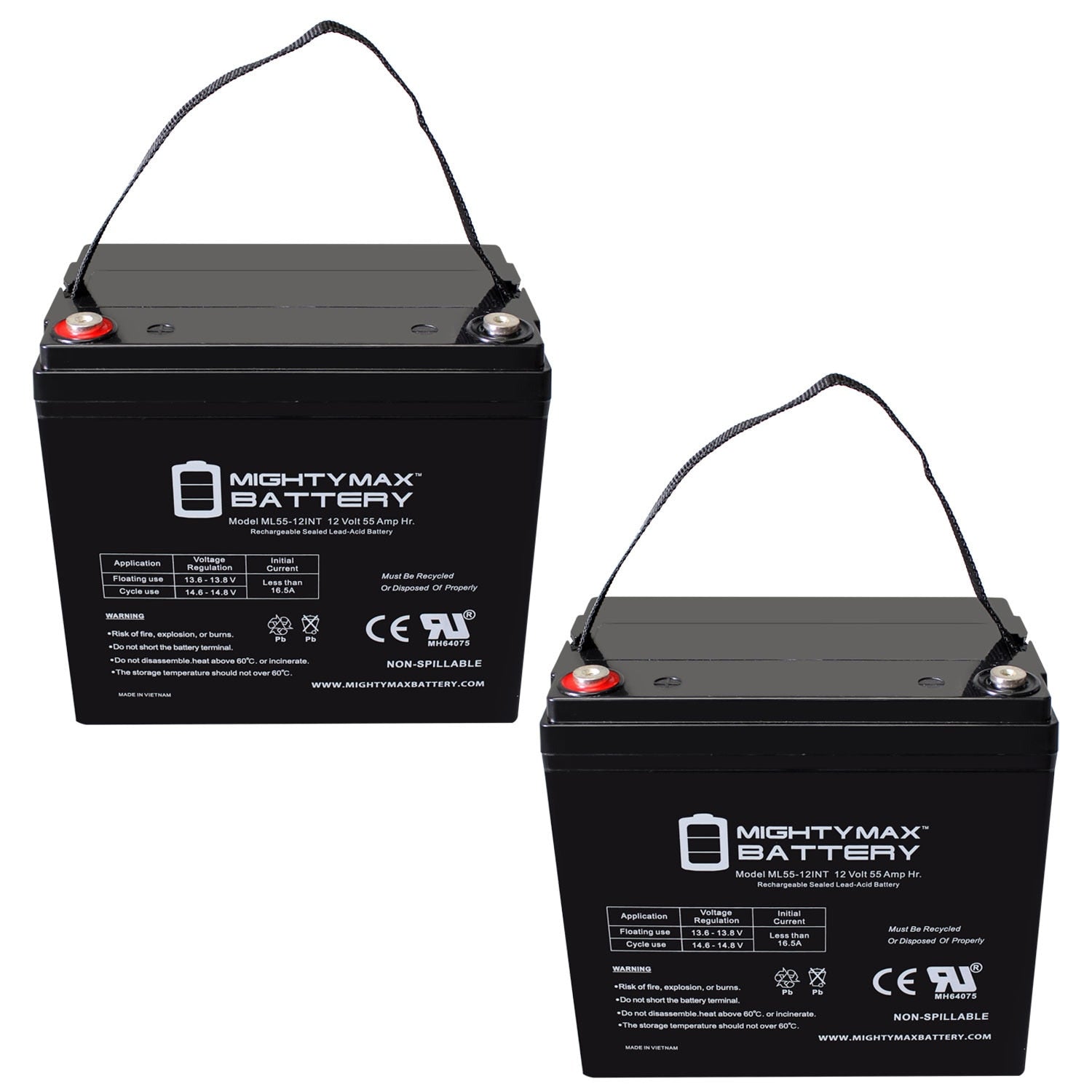 Mighty Max Battery 12V 55Ah for Leoch LP12-55 Rechargeable Sealed lead acid 12550 Backup power Batteries 2 -Pack
