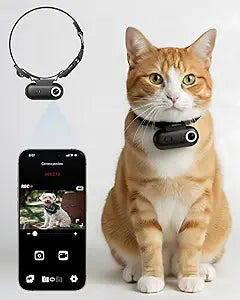 Cat Camera Collar with Phone APP, 1080P HD Video Recording Pet POV Cam for Cats & Small Dogs, XS-Size,Rechargeable Body Camera for Pets with APP Viewing