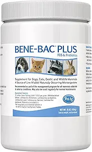 PetAg Bene-Bac Plus - 1 lb Powder - FOS & Probiotics for Dogs, Cats, Exotic & Wildlife Mammals