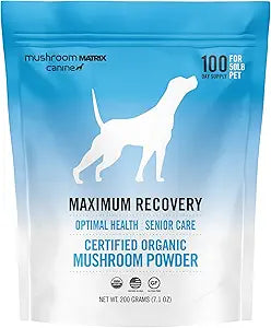 Om Mushroom Matrix Maximum Recovery Mushroom Pet Supplement Powder, Supports Optimal Health & Senior Care for Dogs & Cats, 200 Grams, 7.1 oz