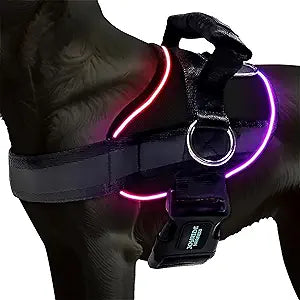Joyride Harness LED Light Up Dog Harness 2.0 - Patent Pending Design, 3 LED Modes, Vibrant Rechargeable Lighting, Customizable Name Tag Area, and Convenient On/Off Button for Enhanced Pet Safety