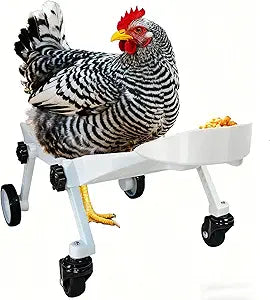 Adjustable Small-Scale Pet Chicken Wheelchair - Small Pet Poultry Mobility Aid Cart, Adjustable Size for Comfortable Use, Supports Injured/Disabled Poultry to Move Freely