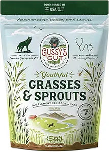 Gussy's Gut Youthful Grasses & Sprouts Dog Gut & Digestive Health Supplement- Human Grade Fermented Ingredients- Super Greens, Pre/Post & Probiotic All in One - Maintain Protocol