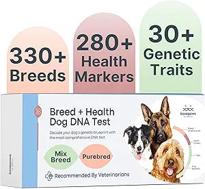 Basepaws Dog DNA Testing Kit - 330+ Breeds, 280+ Health Risks, and 30+ Traits - Comprehensive Mixed Breed Identification, Pet DNA Test kit, Canine Genetic Ancestry and Heritage