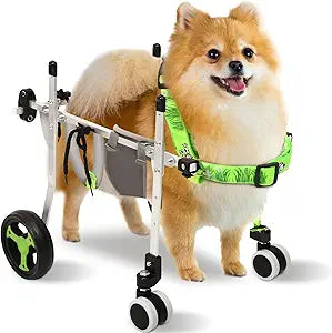 4-Wheel Dog Whee/lchair for Back Legs, Helps Pets Walk Run and Play Again, Suitable for Small/Medium Pets Under 13 lbs