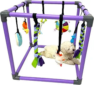 Puppy Play Gym for Small Dogs with 8 Hanging Toys, Jungle Playground with Interactive Funny Enrichment Toys to Keep Them Busy