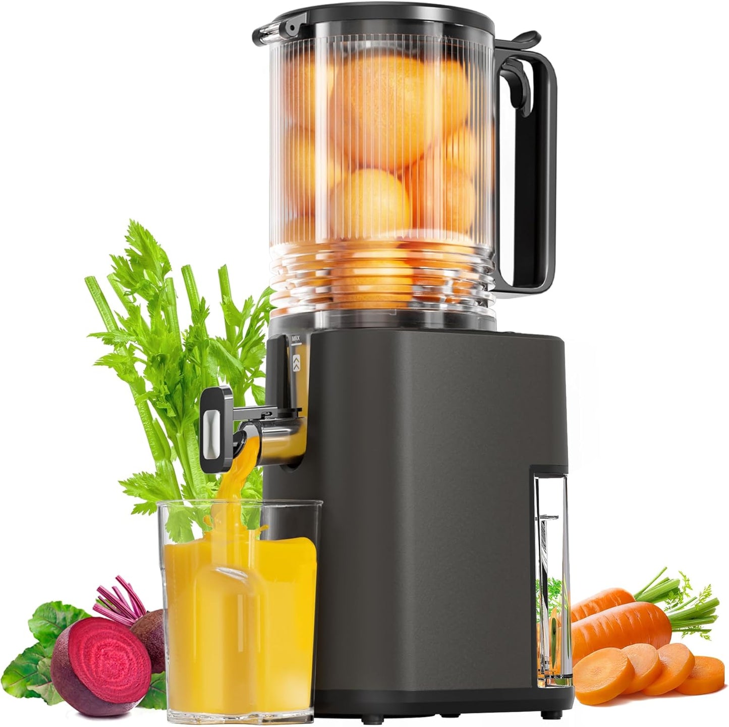 Cold Press Juicer, 5.5inch Wide Feed Chute Juicer Machine, Slow Masticating Juicer for Whole Vegetables & Fruits, Gray