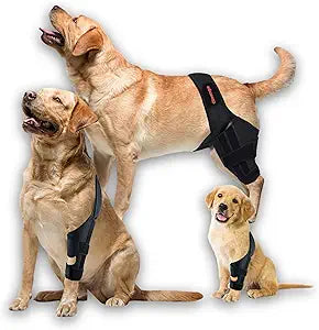 Dog Knee Brace for Torn ACL Hind Leg Dog Knee Braces for Back Leg Torn ACL Knee Brace for Dogs Back Leg Dog ACL Brace Hind Leg Dog Knee Brace for Luxating Patella Leg Support (L)