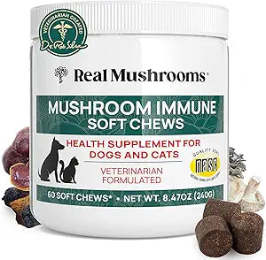 Real Mushroom Immune Pet Chews â€“ For Daily Digestive & Immune Health â€“ Mushrooms for Dogs & Cats Functional Treat â€“ Mushroom Supplement for Dogs & Cats â€“ 1 to 4 Chews For All Breeds & Sizes (60 Count)