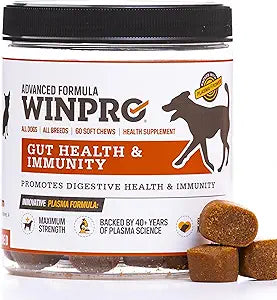 WINPRO Dog Gut Health Supplement â€“ Plasma-Powered Soft Chews for Dog Immune Health Support & Gut Health, Made with Natural Ingredients for Dogs of All Breeds & Sizes - 60 Count