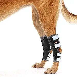 NeoAllyÂ® - Rear Leg Hock Brace, Dog Leg Brace for Rear Leg, Hock & Ankle Support for Large Dogs, Dog Brace for Torn Acl and Ccl, Long Version, Large, 1 Pair