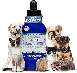 Holistic Pet Care Eye Ulcer Drops - Colloidal Silver with DMSO Drops for Dogs & Cat Eye Infections & Irritations -Eyes Care Solution Reduces Cataracts - All Natural Pet Health Care (4 oz)