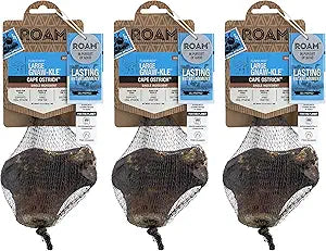 ROAM Pet Treats Large Gnaw-Kle Ostrich Bones for Dogs, Knuckle Dog Chew for Medium to Large Breeds, Dog Treat 10.2 Ounce (Pack of 3)