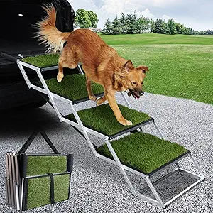 DGSL Dog Ramp for Car, Extra Wide 4 Steps Stairs for Truck, Folding Steps for Dogs with Non-Slip Surface, Pet Loader Dog for Large Dog, SUV, Side Door and Bed (Green, 16.9In-4 Steps)